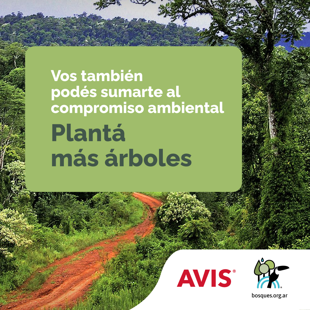 Avis - Alquiler de autos en Argentina